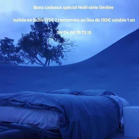 Labastide-en-Val Relais De L'Alsou- Piscine B&B 외부 사진