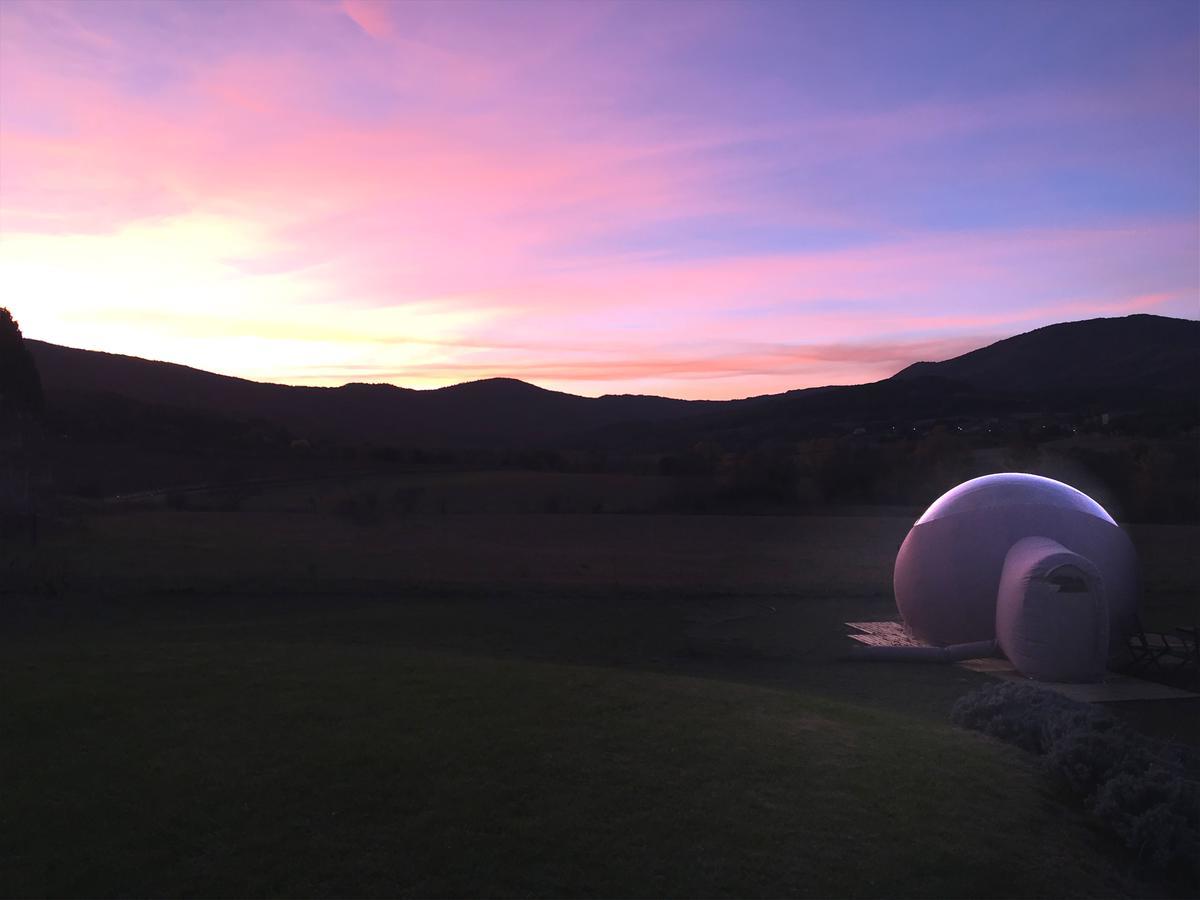Labastide-en-Val Relais De L'Alsou- Piscine B&B 외부 사진