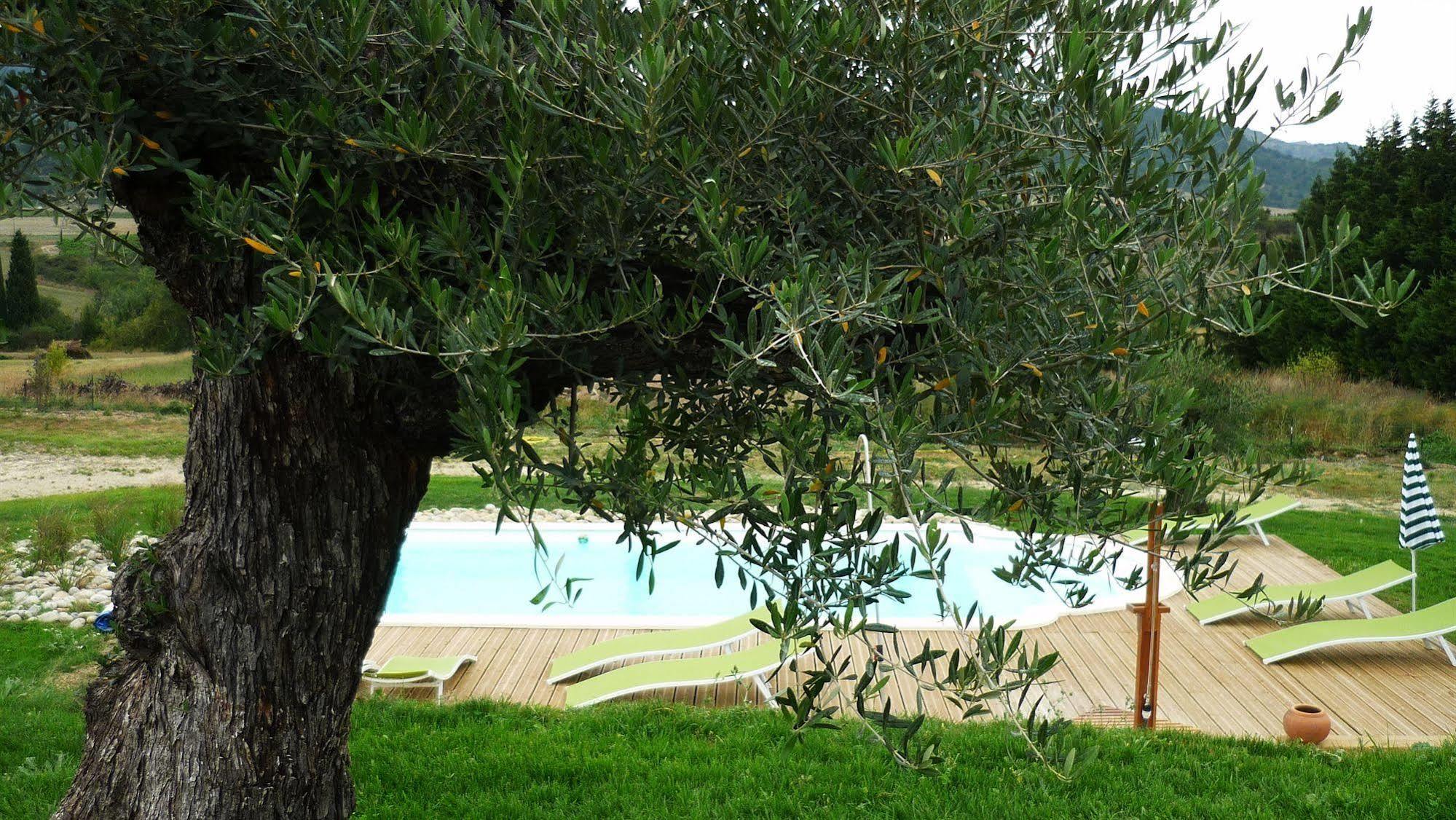 Labastide-en-Val Relais De L'Alsou- Piscine B&B 외부 사진