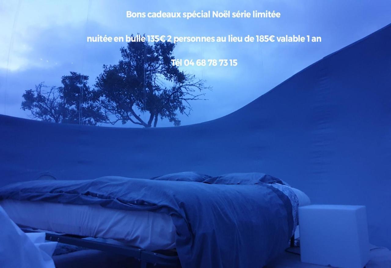 Labastide-en-Val Relais De L'Alsou- Piscine B&B 외부 사진
